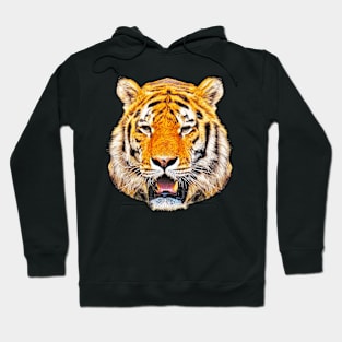 Tiger Tie Dye Hoodie